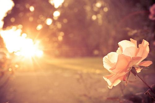 151842_tumblr_mbw8o8969e1qjtwvbo1_500_large