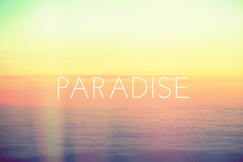 cool-hipster-paradise-quote-Favim.com-699162